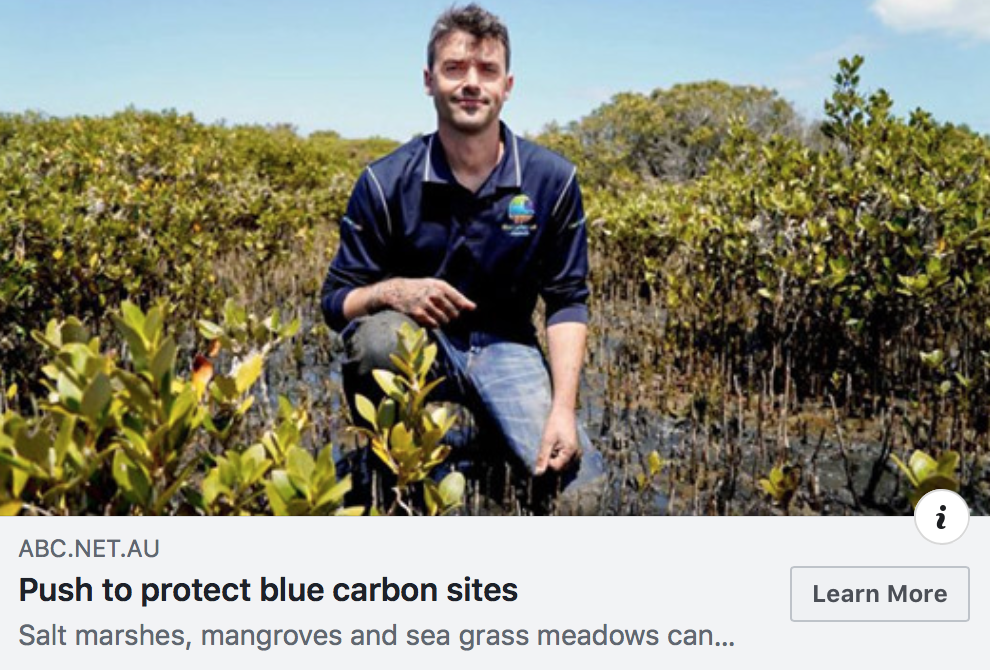 Mangrove researcher