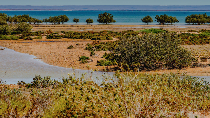 Exmouth Gulf with Cape Range in the background