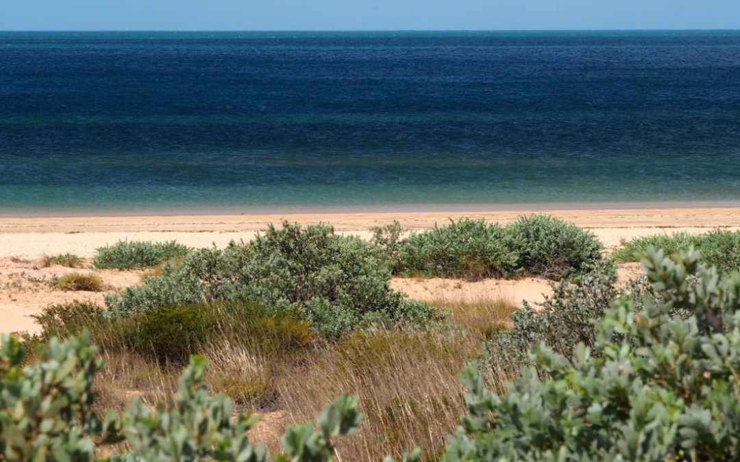 The proposed Heron Point site to be used by Subsea 7