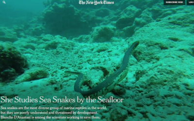 Exmouth Gulf makes it to The New York Times