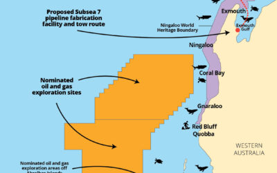 Wave of community concern stops new oil-gas exploration at Ningaloo but industrial threat remains