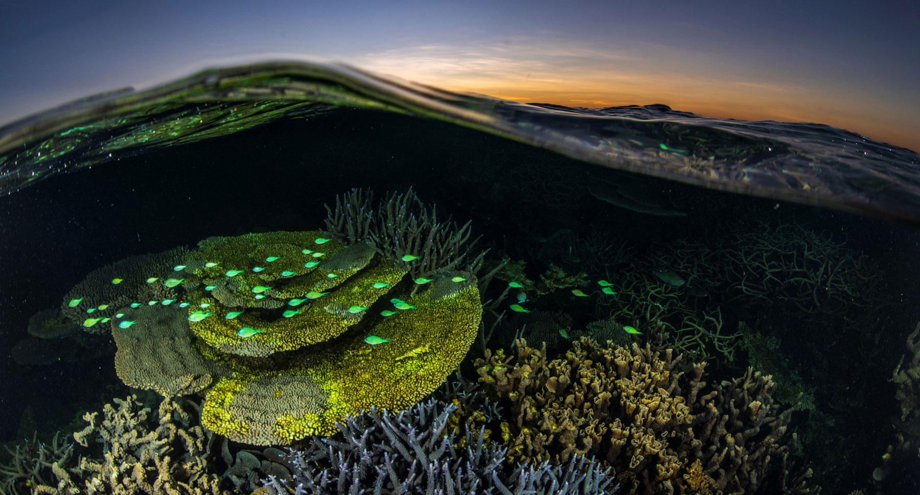 Image credit: Alex Kydd Image credit: Alex Kydd