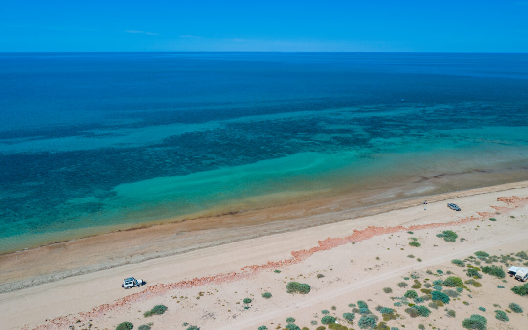 Controversial Subsea 7 pipeline proposal for Exmouth Gulf, Ningaloo put on hold.