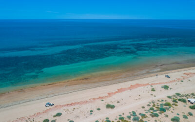 Controversial Subsea 7 pipeline proposal for Exmouth Gulf, Ningaloo put on hold.
