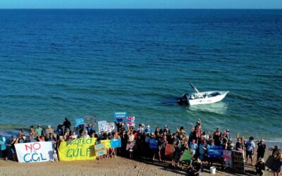 Breaking: Controversial Gascoyne Gateway industrial deepwater port seeking formal environmental approval in Exmouth Gulf