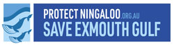 Protect Ningaloo