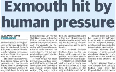 The Sunday Times: Exmouth hit by human pressure