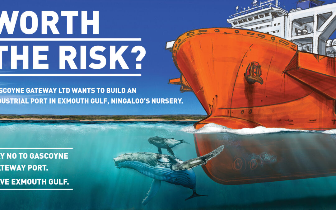‘Worth the Risk?’: National ad campaign launched on risks to Exmouth Gulf humpback whales from proposed Gascoyne Gateway industrial port