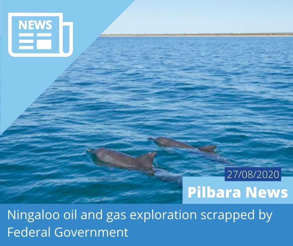 Humpback mother and calf in Exmouth Gulf