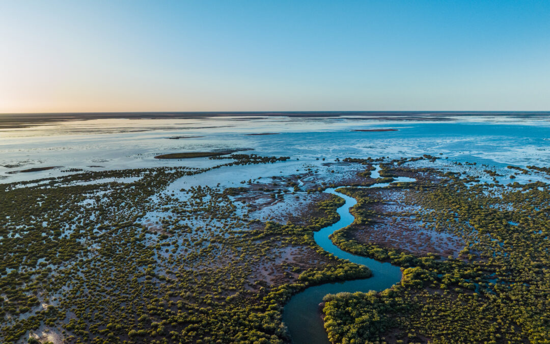 Solar eclipse shines light on Ningaloo’s forgotten sister, Exmouth Gulf