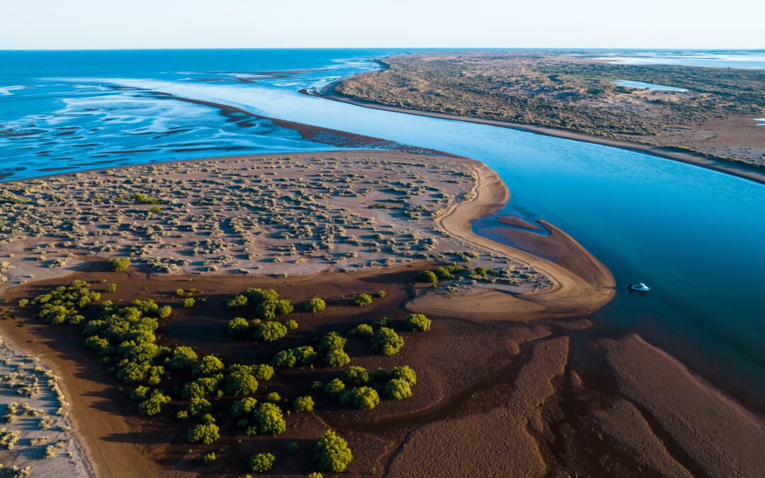 Giant saltworks proposal threatens Exmouth Gulf, Ningaloo