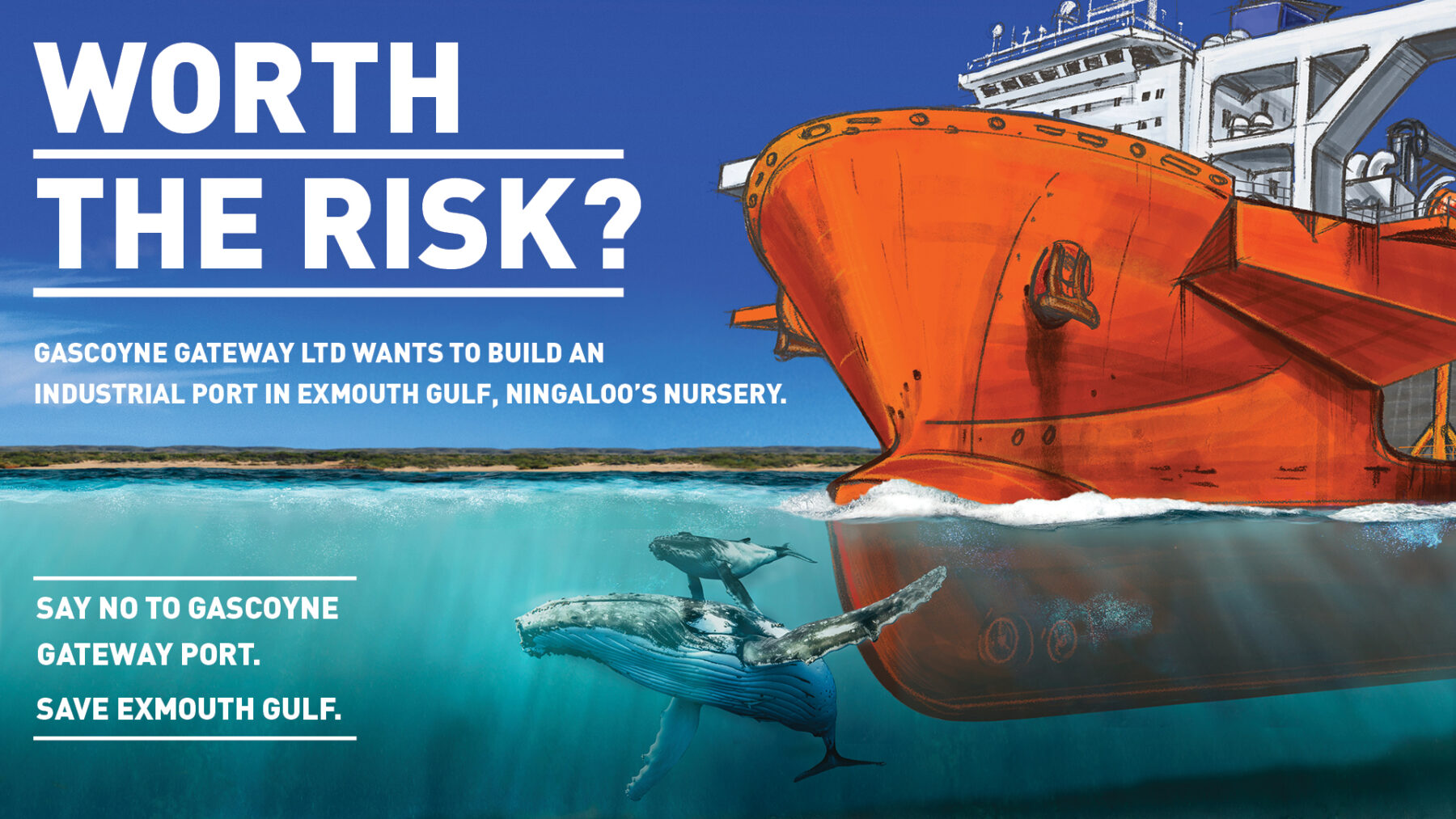 'Worth the Risk_' social asset