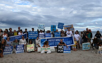 WA Government commitments for Exmouth Gulf marine park welcomed by Protect Ningaloo