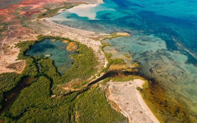 National Heritage assessment announcement for Exmouth Gulf, Ningaloo: Warmly welcomed by conservationists